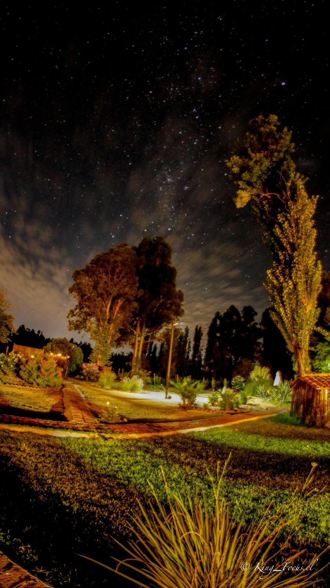 Hotel Boutique Raices De Colchagua Santa Cruz Exteriör bild